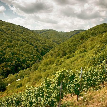 Ferienwohnungen Lithos Oberwesel Ngoại thất bức ảnh